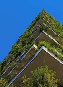 A green building with lots of plants