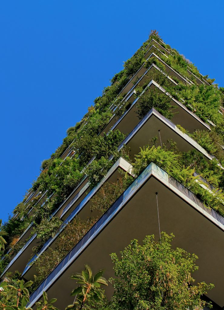 A green building with lots of plants