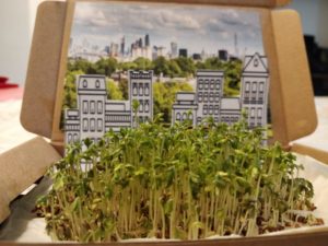 Watercress in a box with paper figures of buildings