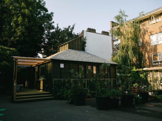 Sunlit low-level building framed by a wooden porch and bamboo plants