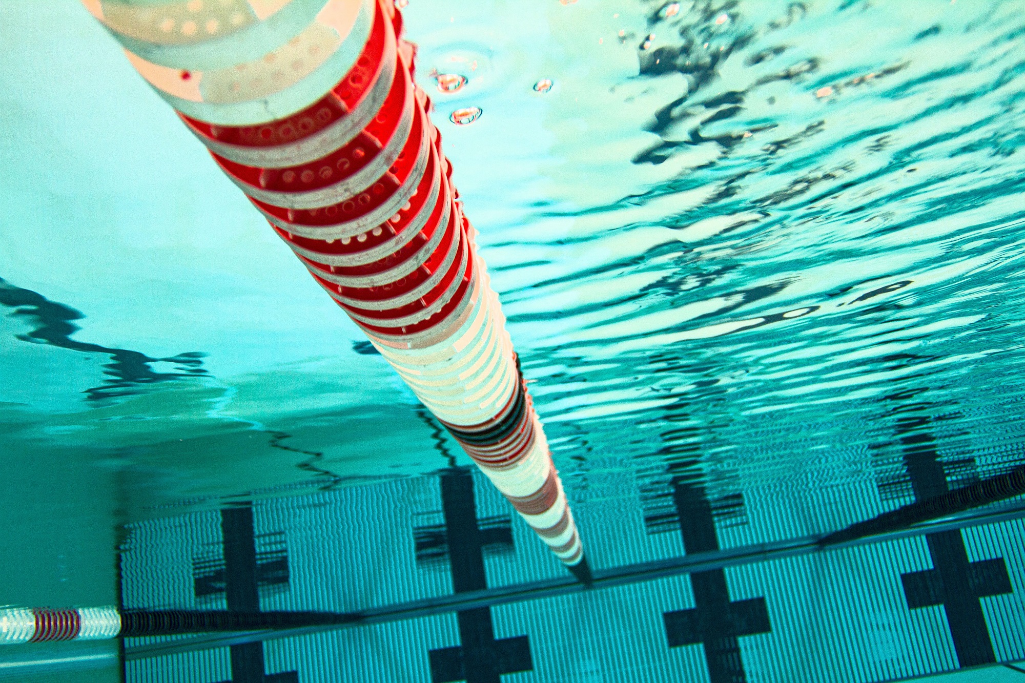 Underwater view of a swimming pool