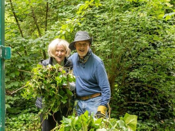 Two elderly people with a wheelbarrow collecting leaves and branches in a green area