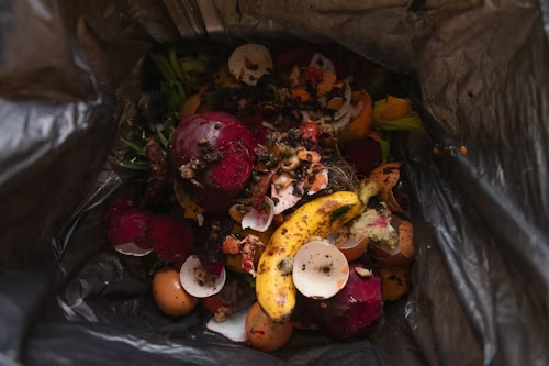 Food waste in a bin.
